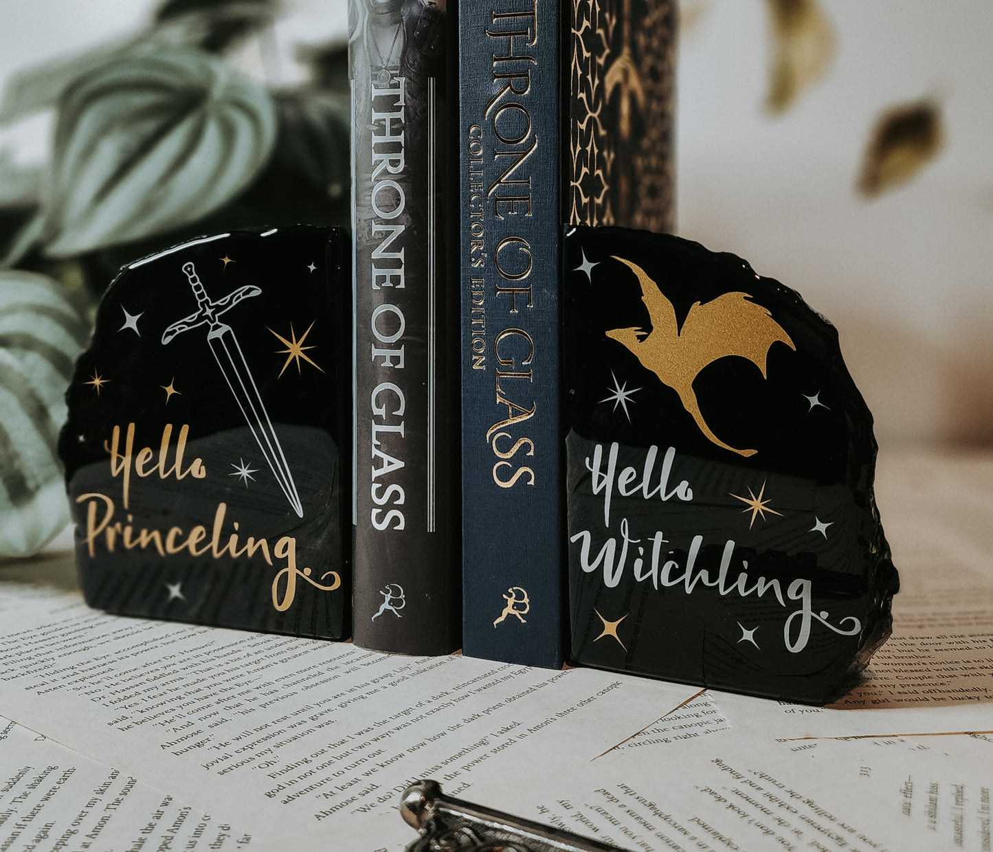 "Hello Princeling Hello Witchling " Throne of Glass by Sarah J Maas Quote| Obsidian Bookend