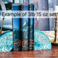 Pre-Order | Blue Agate Bookends
