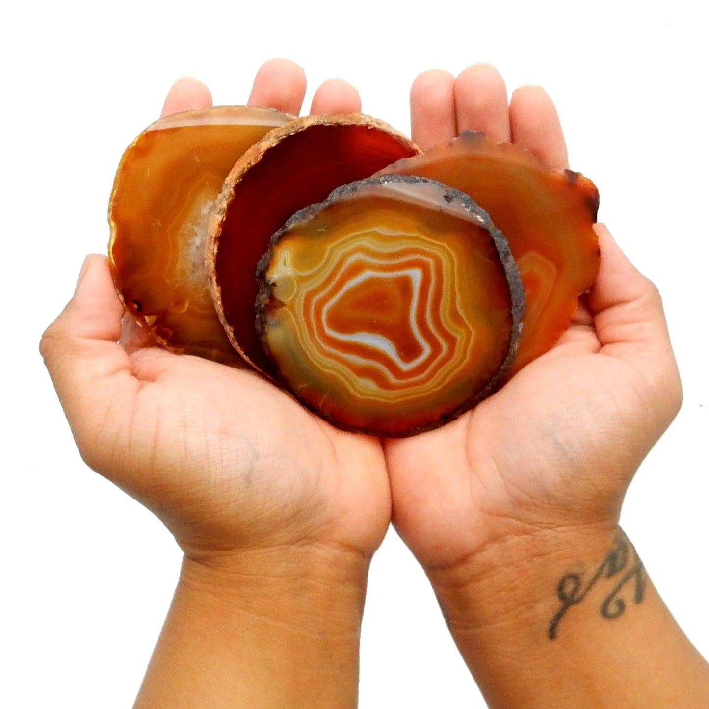 " We lose ourselves in books. " | Amber Agate slice shelf sitter | Multiple colors available