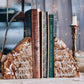 Pre-Order | Petrified wood Bookends| Her soul belongs to words and books